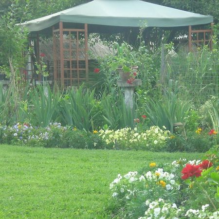 Farm Stay Lackovic Bilje Екстериор снимка