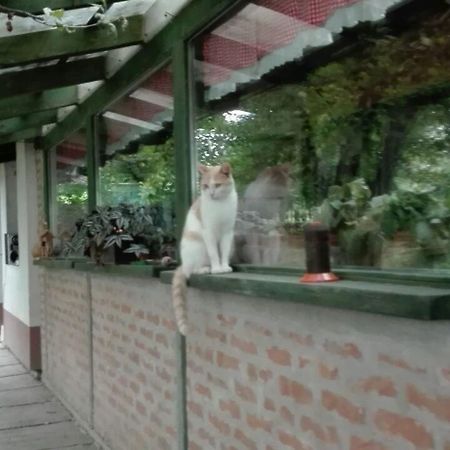 Farm Stay Lackovic Bilje Екстериор снимка