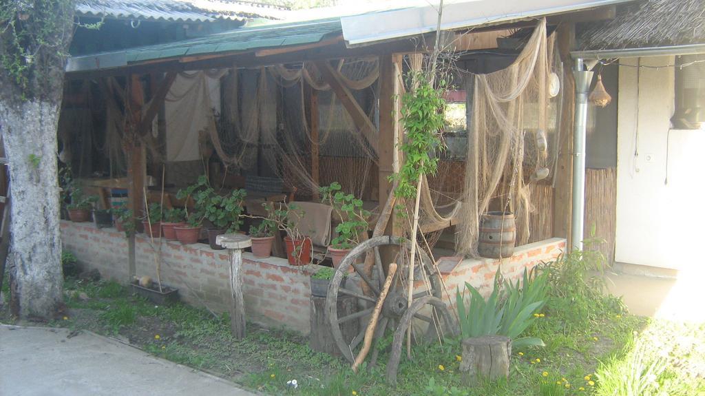 Farm Stay Lackovic Bilje Екстериор снимка