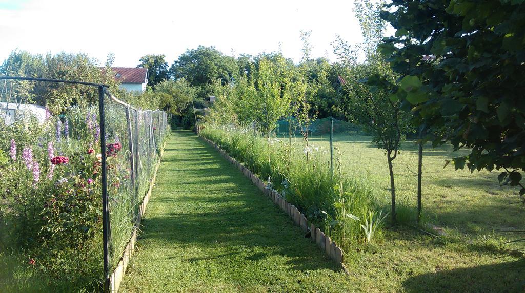 Farm Stay Lackovic Bilje Екстериор снимка