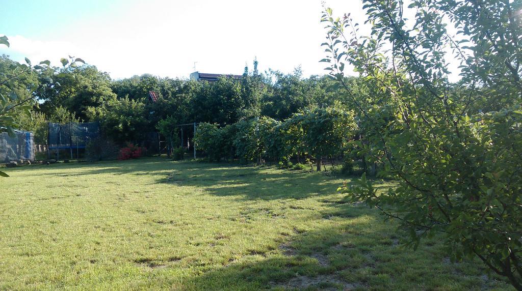 Farm Stay Lackovic Bilje Екстериор снимка