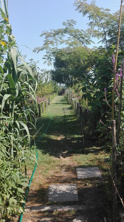 Farm Stay Lackovic Bilje Екстериор снимка