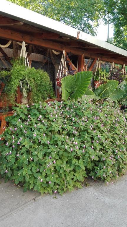 Farm Stay Lackovic Bilje Екстериор снимка